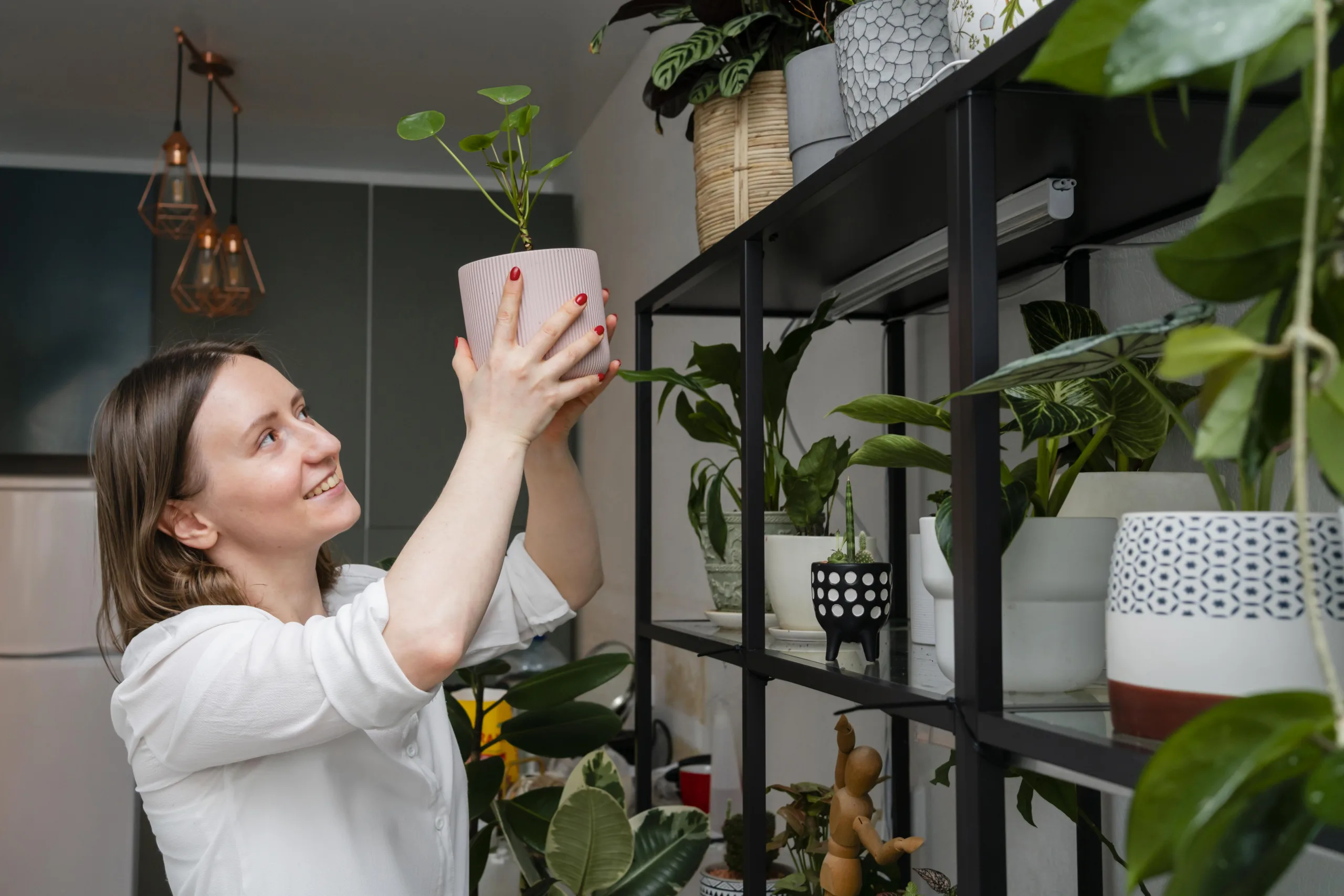 Woman arranging indoor plants
