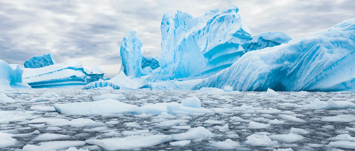 Icebergs floating in ocean.