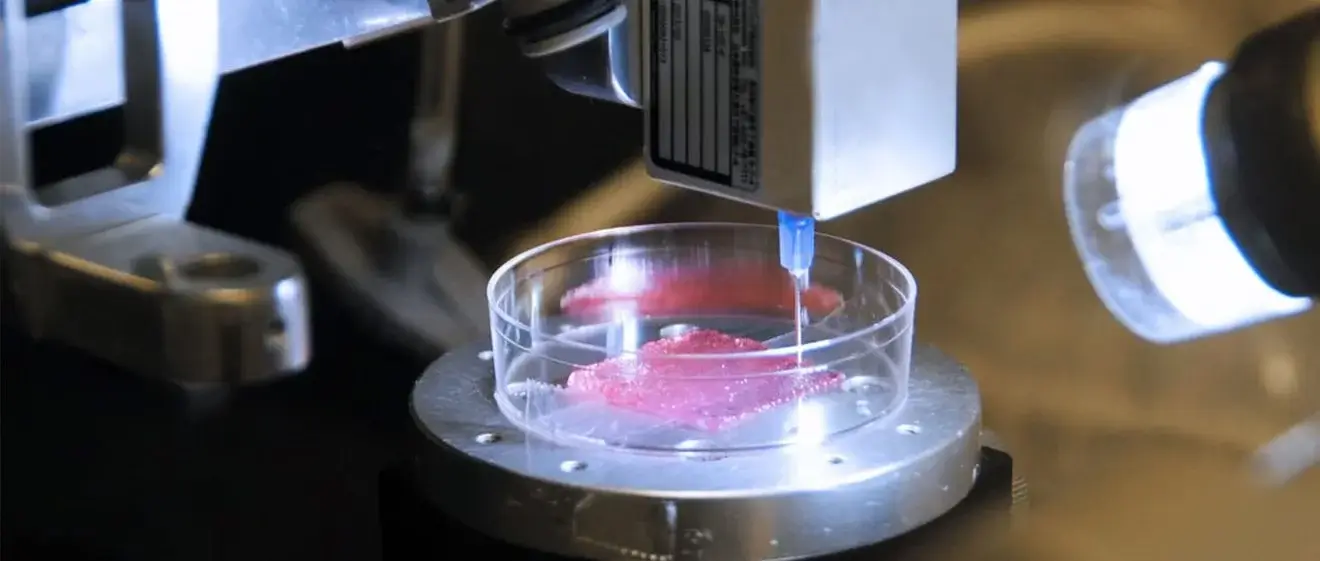 3D bioprinting in action.