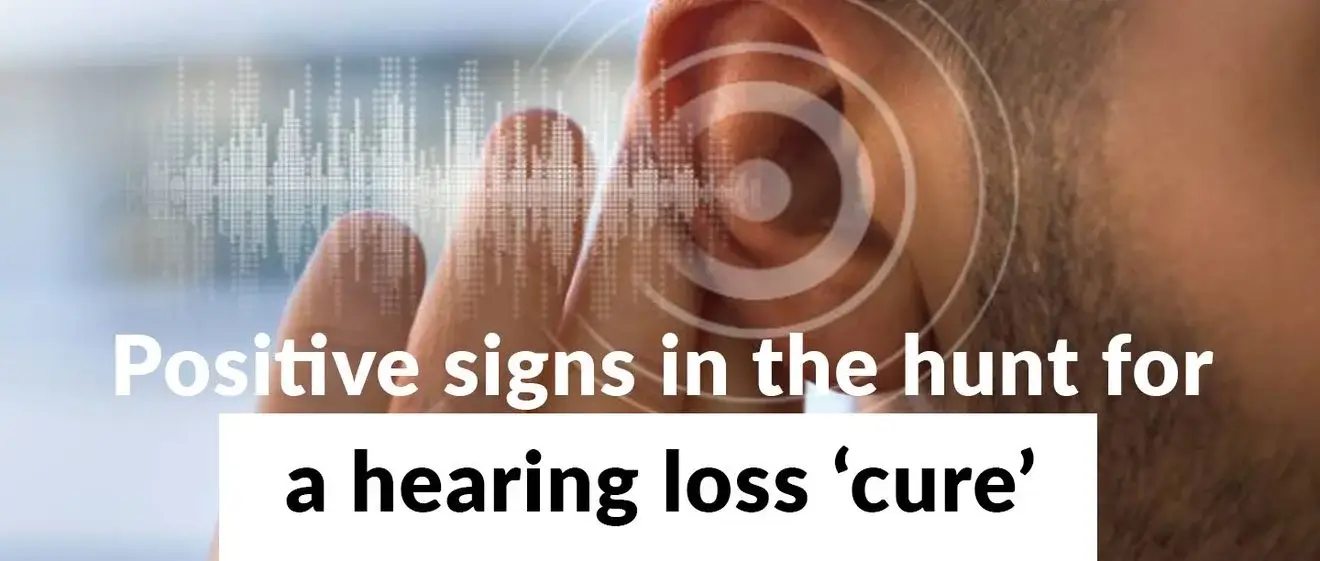 Hearing loss cure search.
