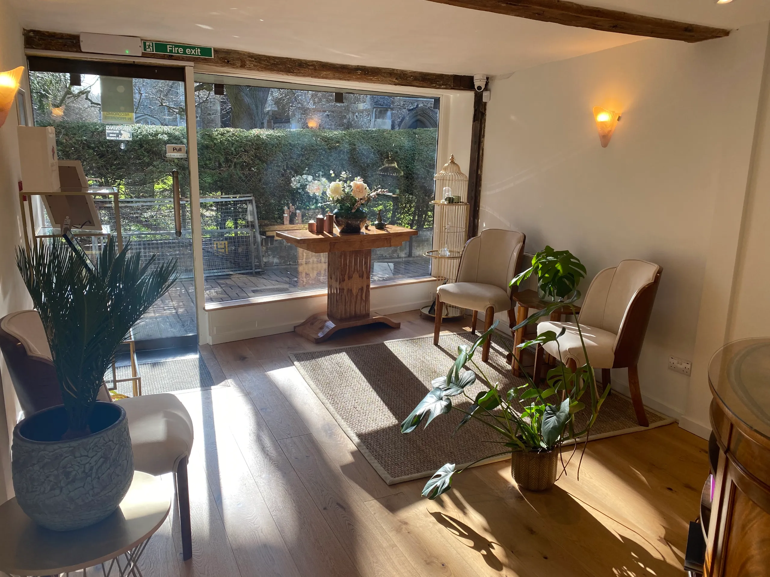 Bright room with plants.
