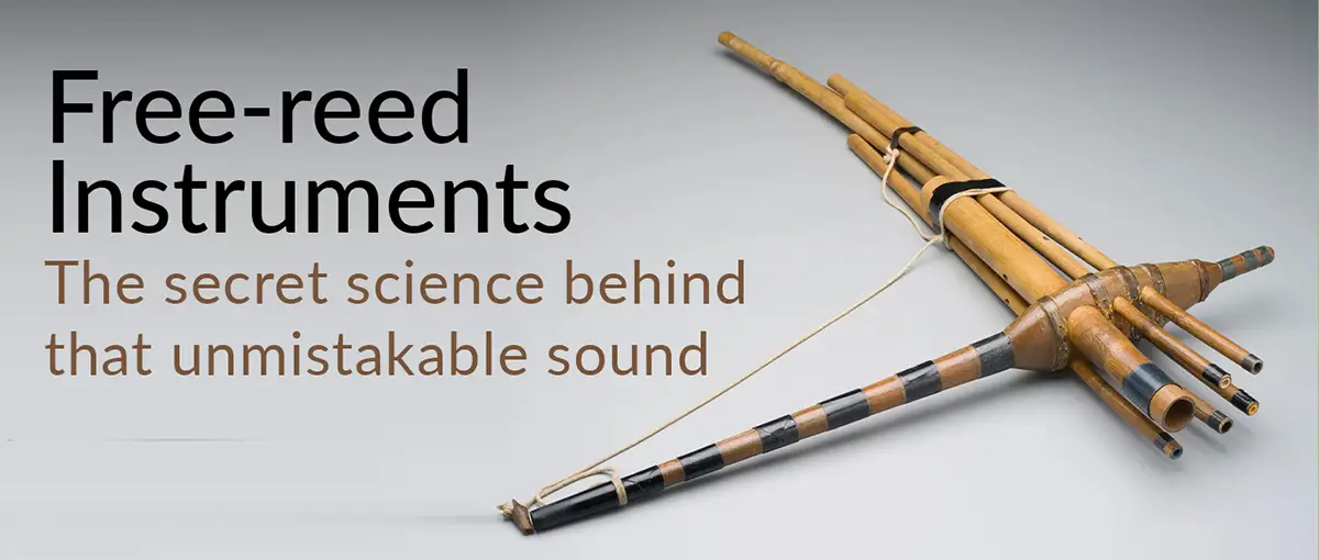 Bamboo free-reed instrument displayed